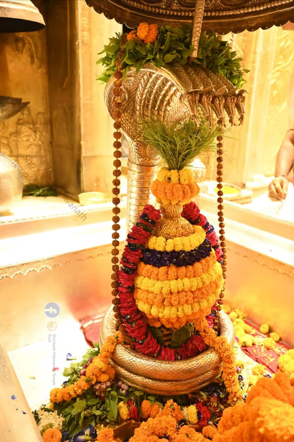 kashi-vishwanath-aarti
